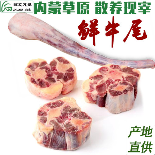 牧之戈壁 牛尾 内蒙古新鲜牛尾巴牛骨生牛肉草原黄牛现宰牛特价