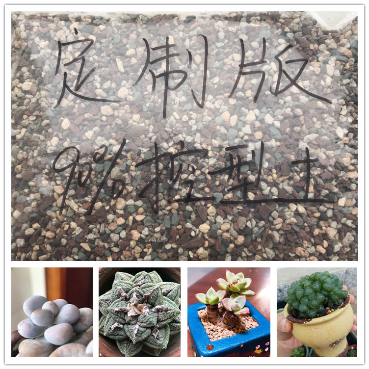 【定制版90%控型土】高端多肉植物配方营养颗粒发根包邮服盆快阡