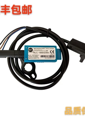 蓝姆泰克火焰探测器 KLC1000/230超低氮电眼KLC20/230 KLC1000 UV