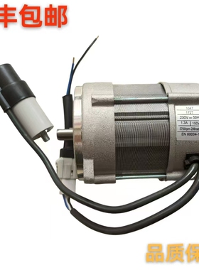 电机FS5 FS10 GS10 FS20 GS20 利雅路燃烧机马达,