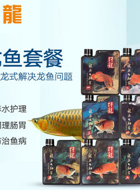 仟龙红龙七剑客鱼缸硝化