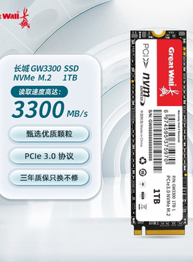 长城固态硬盘GW3300 M.2NVME高速稳定台式固体硬盘笔记本128G 256