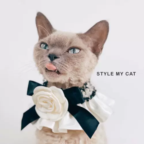 Колье кота принцессы в цвету новое питомец маленький ароматный ветерок белая цветочная лента немецкая плюшевая собака