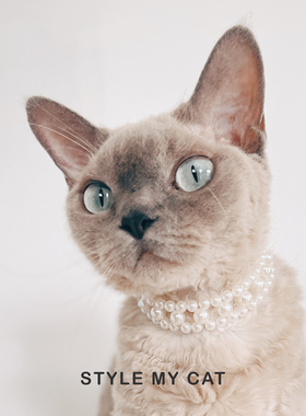 宠物珍珠项链Pearl猫咪复古多层叠戴项圈德文英短泰迪生日拍照