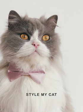 猫咪狗狗婚礼领结英伦Alex结婚写真配饰质感布偶泰迪宠物无毛项圈