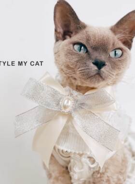 猫咪项圈口水巾Marie洛可可蝴蝶结蕾丝珍珠公主宠物狗狗拍照配饰