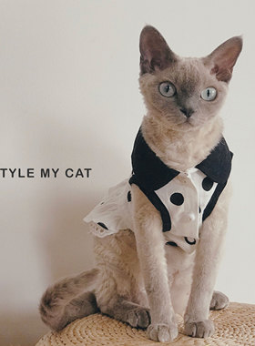 猫咪连衣裙Camille春夏波点棉蝴蝶结装饰花边翻领衣服布偶小幼犬