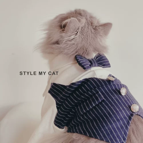 Костюм Cat Charli