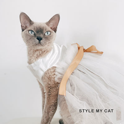 stylemycat宠物衣服婚纱蓬蓬裙