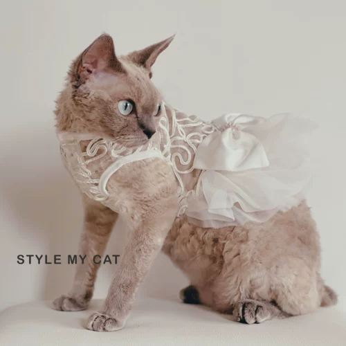 Кошачья одежда принцесса свадьба Ирэн Петт Новое платье, свадебные подарки, марионетка безволосой кошка Бии