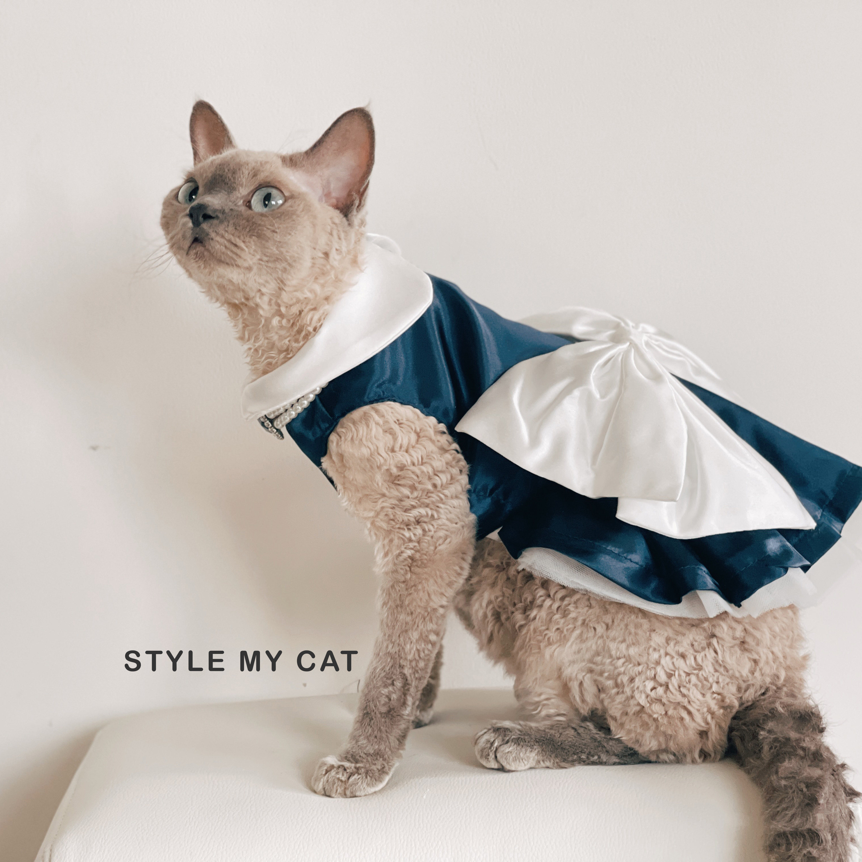 猫咪衣服蓝裙elsa宠物狗狗婚纱照超大蝴蝶结复古风迪士尼公主礼服