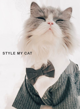 宠物西装Mark网红礼物写真帅气婚礼布偶无毛猫泰迪猫咪结婚礼服