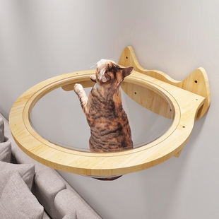 免费设计订制德文猫咪创意壁挂墙上多功能跳板太空舱猫窝可免打孔