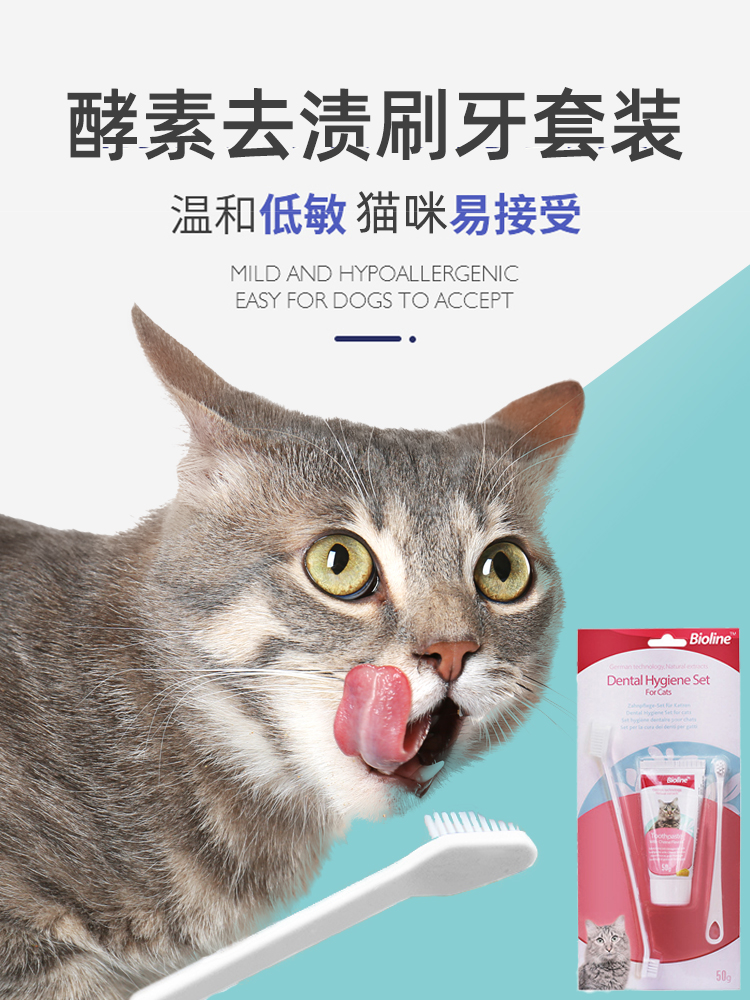 可食用猫牙刷牙膏套装牙齿清洁用品除口臭猫咪专用宠物刷牙神器小 宠物/宠物食品及用品 猫狗牙膏/牙具 原图主图