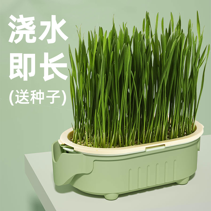 【有溢水口】防烂根真懒人猫草杯