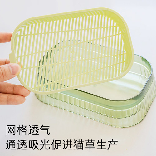 【懒人设计】通透吸光浇水长猫草