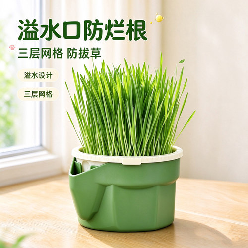 三层防拔草溢水口防烂根懒人猫草