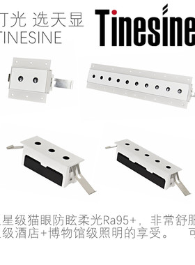2013新款高显Ra95小孔防眩长条射灯别墅茶室会所展厅店铺智能照明