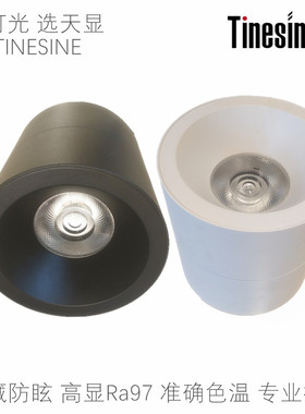 天显高显色Ra95高余量高铁站高空大型场馆明装筒灯IP65雨棚照明