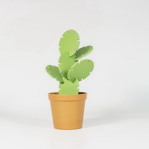 SUCKUK杯垫仙人掌组合装礼物