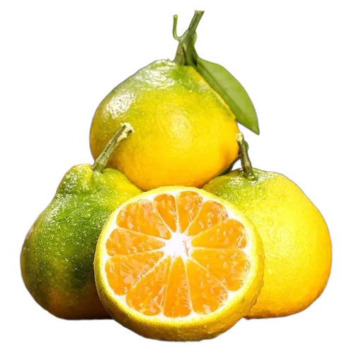 湖北青皮宜昌丑橘产地直发桔子包邮新鲜水果青丑橘子