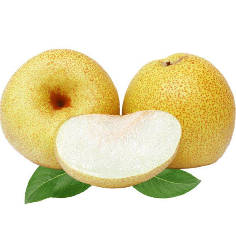 砀山酥梨当季新鲜梨子水果新鲜青黄梨整箱包酥梨,水产肉类/新鲜蔬果/熟食,梨,淘宝优惠券,粉丝福利购,淘宝优惠卷