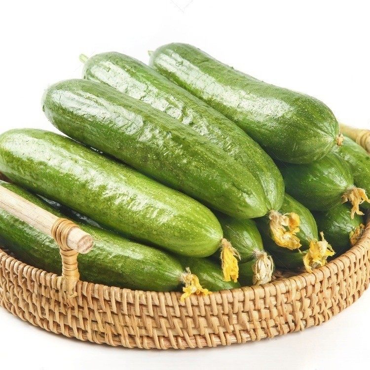 水果黄瓜新鲜小黄瓜5斤现摘小青瓜蔬菜农家山东,水产肉类/新鲜蔬果/熟食,黄瓜,淘宝优惠券,粉丝福利购,淘宝优惠卷