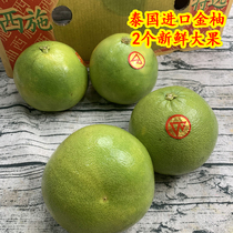 泰国进口金柚2个大果西施柚香蜜柚子新鲜泰柚当季时令水果发顺丰