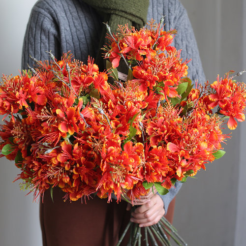 追花仿真花花艺洋金凤单支凤凰花