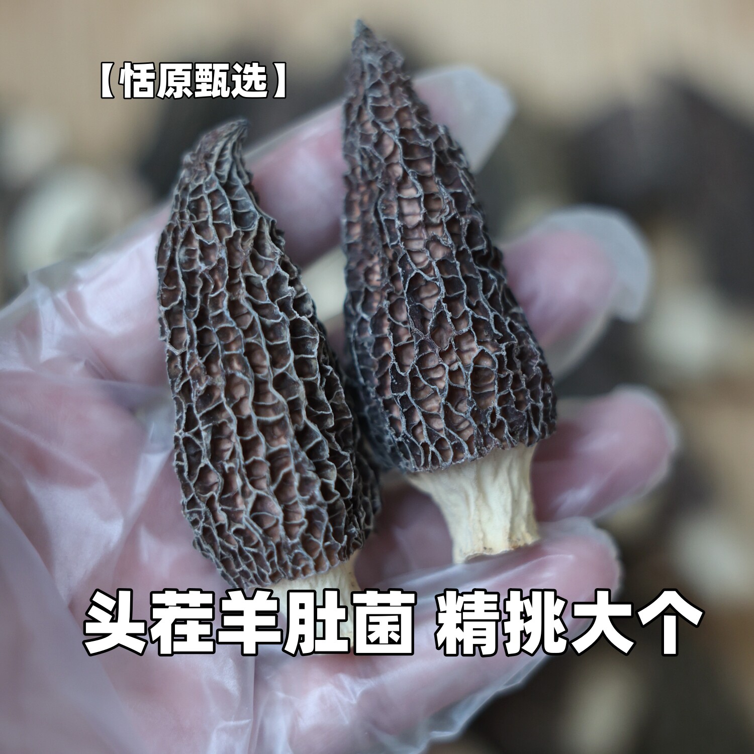 恬原精选/头茬六妹羊肚菌（5-7cm）营养补品煲汤图片