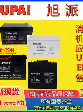 XUPAI旭派蓄电池铅酸免维护6-GFM-7-12-20-65-38-24-100 12V电池