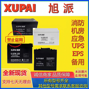 100 GFM 12V电池 XUPAI旭派蓄电池铅酸免维护6