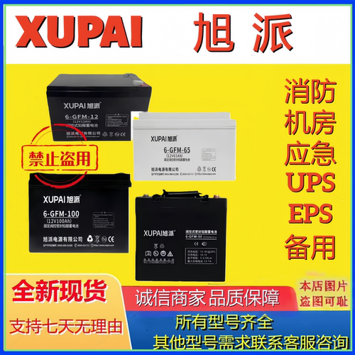 XUPAI旭派蓄电池铅酸免维护6-GFM-7-12-20-65-38-24-100 12V电池