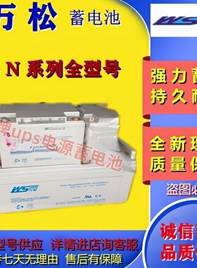 WS万松蓄电池SN12-12SN17-12SN24-12SN65-12SN100-12SN38-12 全新