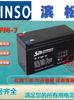 BINSON滨松蓄电池6-FM-7 12V7AH铅酸免维护机房UPS消防主机电梯