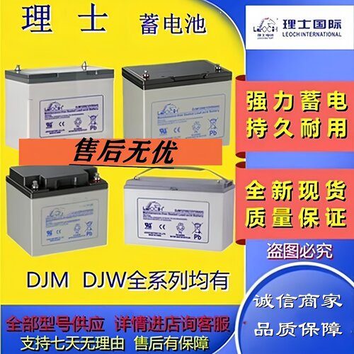 LEOCH理士原装蓄电池DJM12100DJM1265DJM1238DJM1240DJM1280全新