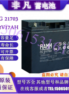 FIAMM非凡蓄电池FG21703铅酸免维护12V17AH通讯机房UPS/EPS用电源