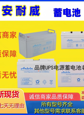 安耐威蓄电池AFM-P12100 AFM-P1265 AFM-P1238AFM-P1224AFM-P1217