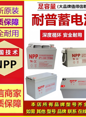 NPP耐普蓄电池NP12-100 NP12-65 NP12-38 NP12-40 NP12-45NP12-80