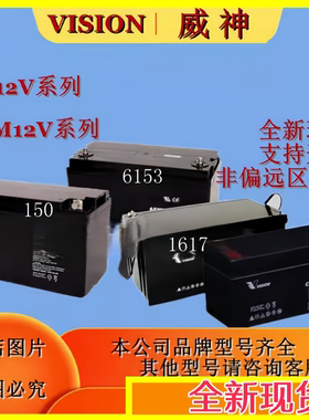 VISION威神蓄电池CP1290CP1270CP12170CP12380 6FM1206FM656FM100
