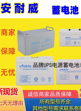 安耐威蓄电池AFM-P12100 AFM-P1265 AFM-P1238AFM-P1224AFM-P1217