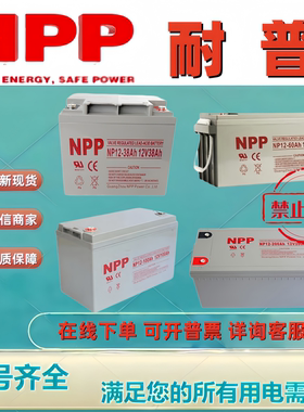 NPP耐普蓄电池NP12-100 NP12-65 NP12-38 NP12-40 NP12-45NP12-24