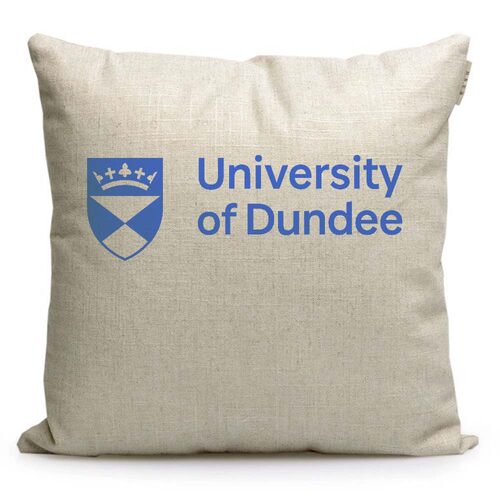邓迪大学周边纪念品靠垫沙发靠枕抱枕英国Dundee礼品