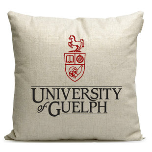 奎尔夫大学纪念品贵湖大学定制加拿大名校周边沙发靠垫靠枕抱枕