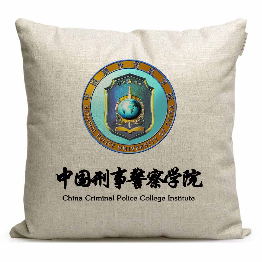 毕业纪念品定制校友礼物靠枕枕头