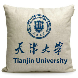 天津大学纪念品沙发抱枕天大定制文创礼品周边学生座椅靠垫枕头