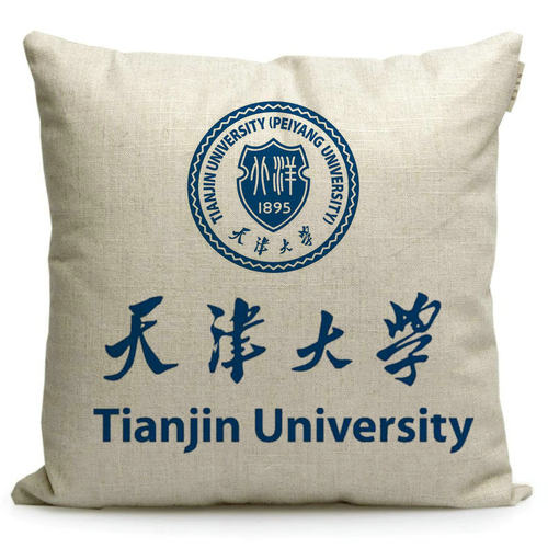 天津大学纪念品沙发抱枕
