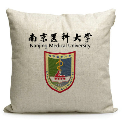 南京医科大学纪念品沙发靠枕抱枕