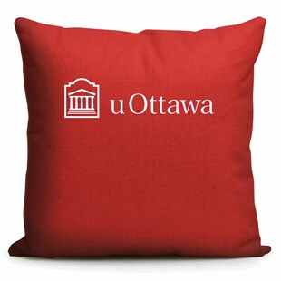 加拿大名校周边 渥太华大学U Ottawa纪念品沙发靠垫靠枕学生抱枕