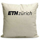 苏黎世联邦理工学院ETH Zurich纪念品周边靠垫定制靠枕沙发抱枕